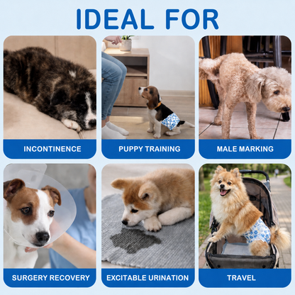 Puggies™ - Disposable Male Dog Diapers
